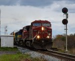 CP 235 CP 9619 CP 9568 ICE 6448 NREX 7212